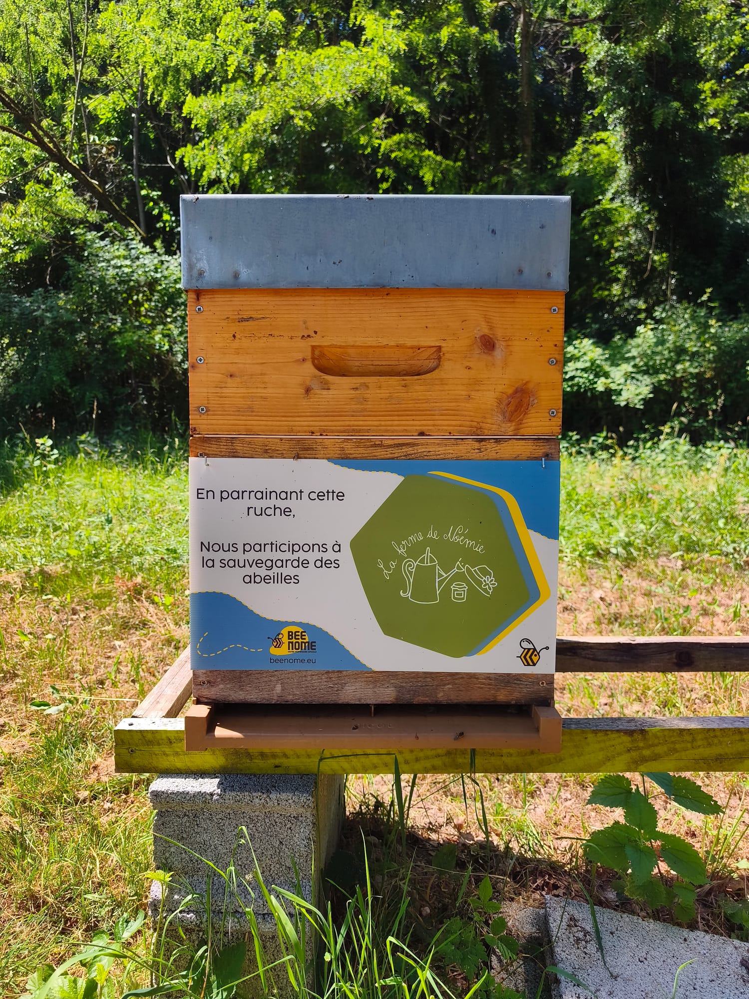 CSRD 2026 : où en est la simplification Omnibus et ce qu'elle change pour votre reporting biodiversité
